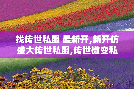 找传世私服 最新开,新开仿盛大传世私服,传世微变私服,新开仿盛大传世私服