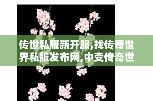 传世私服新开服,找传奇世界私服发布网,中变传奇世界私服,找传奇世界私服发布网