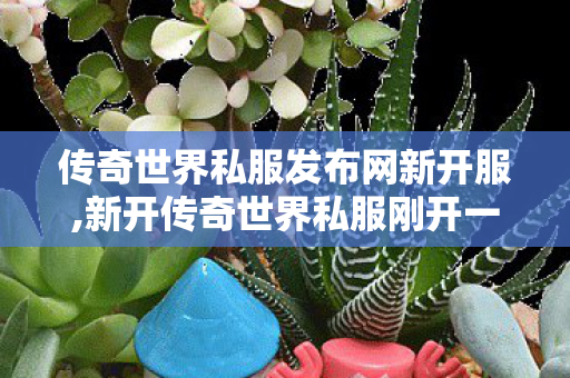 传奇世界私服发布网新开服,新开传奇世界私服刚开一秒,今日新开传奇世界私服,新开传奇世界私服刚开一秒