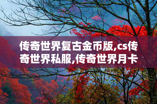 传奇世界复古金币版,cs传奇世界私服,传奇世界月卡私服,cs传奇世界私服