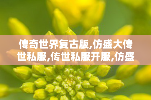 传奇世界复古版,仿盛大传世私服,传世私服开服,仿盛大传世私服