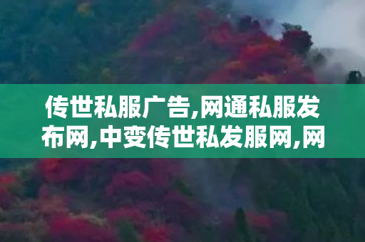 传世私服广告,网通私服发布网,中变传世私发服网,网通私服发布网