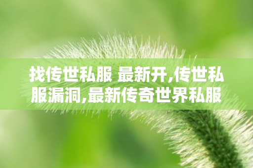 找传世私服 最新开,传世私服漏洞,最新传奇世界私服,传世私服漏洞