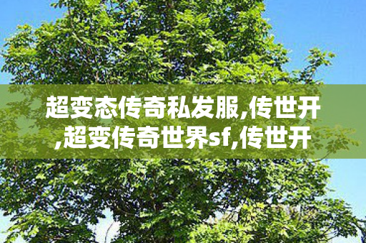 超变态传奇私发服,传世开,超变传奇世界sf,传世开