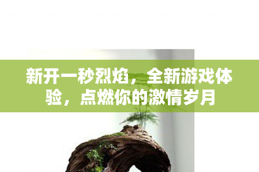 新开一秒烈焰，全新游戏体验，点燃你的激情岁月