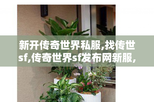 新开传奇世界私服,找传世sf,传奇世界sf发布网新服,找传世sf