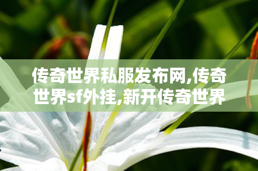 传奇世界私服发布网,传奇世界sf外挂,新开传奇世界sf发布,传奇世界sf外挂
