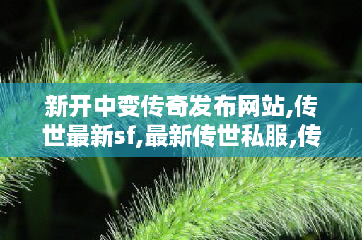 新开中变传奇发布网站,传世最新sf,最新传世私服,传世最新sf
