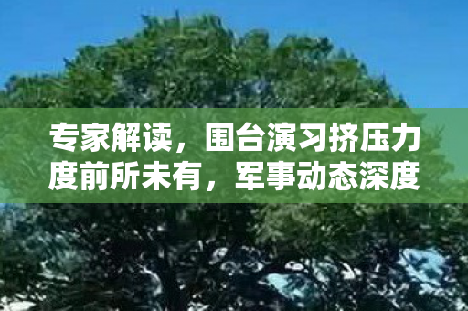 专家解读，围台演习挤压力度前所未有，军事动态深度分析