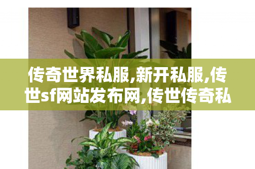 传奇世界私服,新开私服,传世sf网站发布网,传世传奇私服,传世sf网站发布网