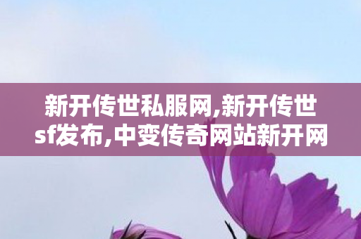 新开传世私服网,新开传世sf发布,中变传奇网站新开网,新开传世sf发布