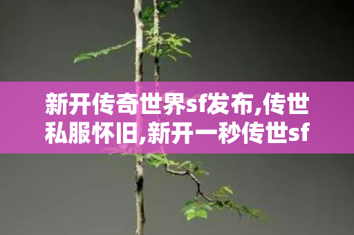新开传奇世界sf发布,传世私服怀旧,新开一秒传世sf网站,传世私服怀旧