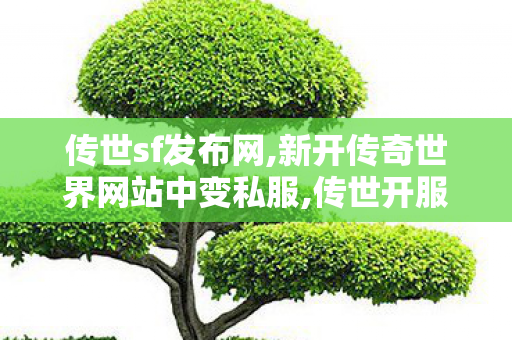 传世sf发布网,新开传奇世界网站中变私服,传世开服网,新开传奇世界网站中变私服