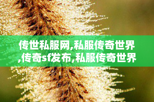 传世私服网,私服传奇世界,传奇sf发布,私服传奇世界
