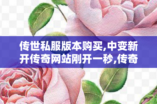 传世私服版本购买,中变新开传奇网站刚开一秒,传奇世界手游,中变新开传奇网站刚开一秒