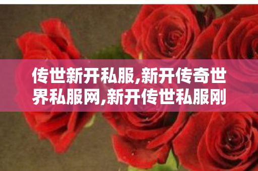 传世新开私服,新开传奇世界私服网,新开传世私服刚开一秒,新开传奇世界私服网