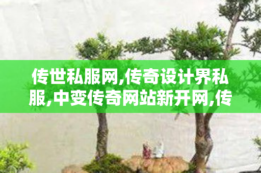 传世私服网,传奇设计界私服,中变传奇网站新开网,传奇设计界私服