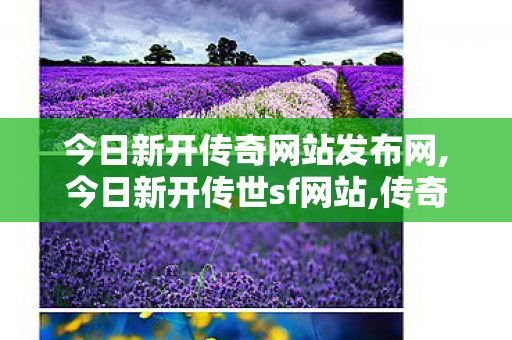 今日新开传奇网站发布网,今日新开传世sf网站,传奇中变网,今日新开传世sf网站