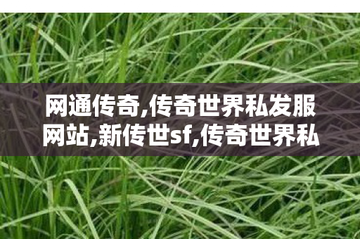 网通传奇,传奇世界私发服网站,新传世sf,传奇世界私发服网站