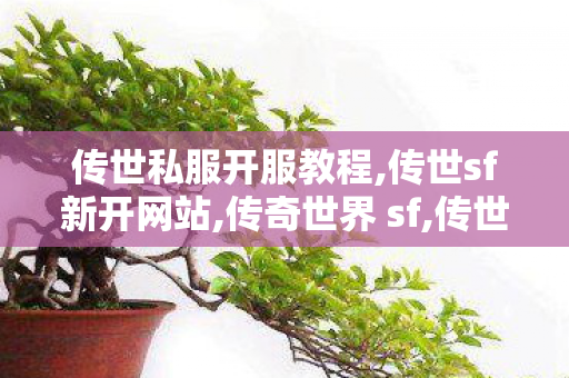 传世私服开服教程,传世sf新开网站,传奇世界 sf,传世sf新开网站