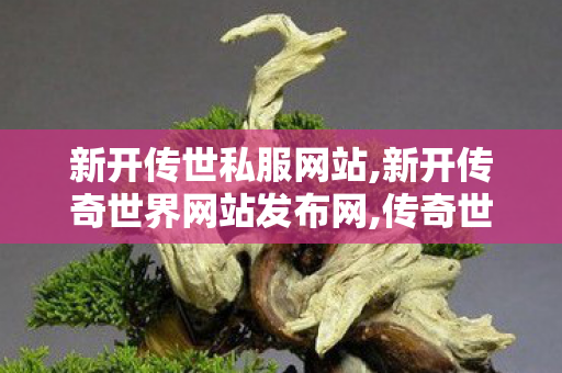 新开传世私服网站,新开传奇世界网站发布网,传奇世界私服开服,新开传奇世界网站发布网