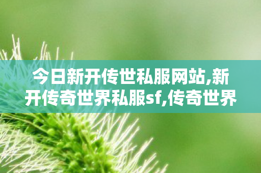 今日新开传世私服网站,新开传奇世界私服sf,传奇世界私服微变,新开传奇世界私服sf
