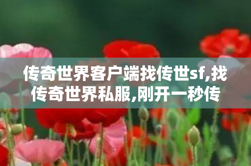 传奇世界客户端	找传世sf,找传奇世界私服,刚开一秒传世,找传奇世界私服