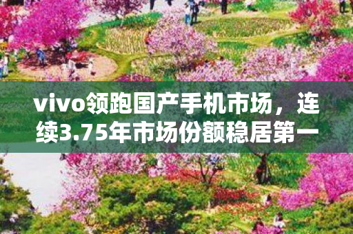 vivo领跑国产手机市场，连续3.75年市场份额稳居第一的背后力量