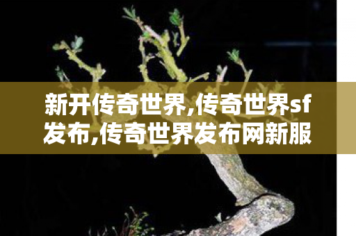 新开传奇世界,传奇世界sf发布,传奇世界发布网新服,传奇世界sf发布