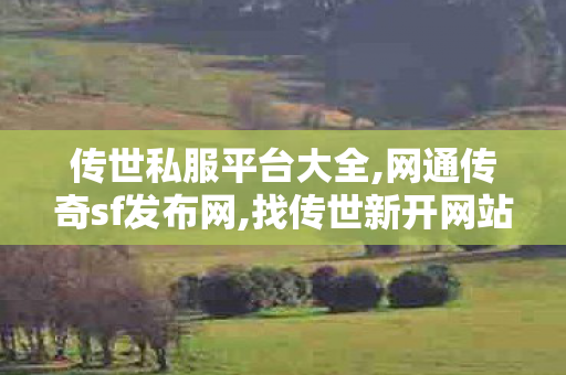 传世私服平台大全,网通传奇sf发布网,找传世新开网站,网通传奇sf发布网
