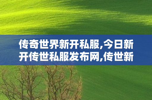 传奇世界新开私服,今日新开传世私服发布网,传世新服网发布网,今日新开传世私服发布网