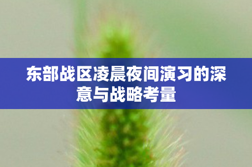 东部战区凌晨夜间演习的深意与战略考量