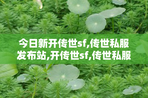 今日新开传世sf,传世私服发布站,开传世sf,传世私服发布站