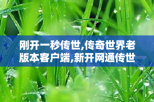 刚开一秒传世,传奇世界老版本客户端,新开网通传世私服,传奇世界老版本客户端