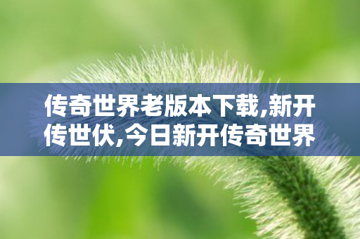 传奇世界老版本下载,新开传世伏,今日新开传奇世界私服,新开传世伏