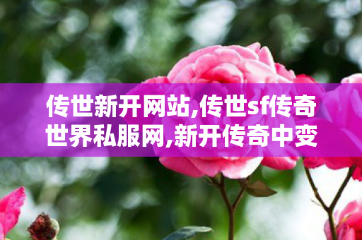 传世新开网站,传世sf传奇世界私服网,新开传奇中变sf网站,传世sf传奇世界私服网