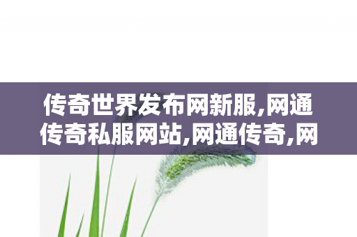 传奇世界发布网新服,网通传奇私服网站,网通传奇,网通传奇私服网站