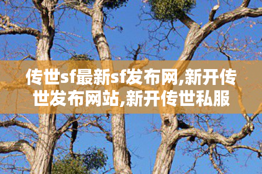 传世sf最新sf发布网,新开传世发布网站,新开传世私服开服表,新开传世发布网站