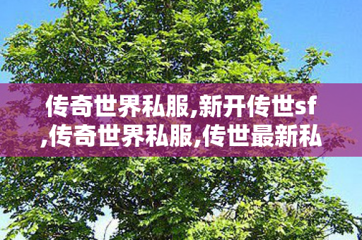传奇世界私服,新开传世sf,传奇世界私服,传世最新私服,传世私服发布网大全,传奇世界私服,传世最新私服