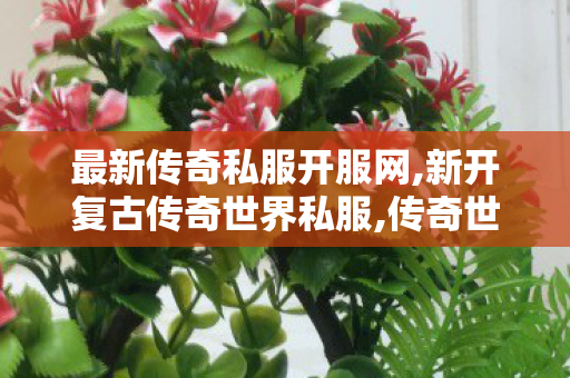 最新传奇私服开服网,新开复古传奇世界私服,传奇世界新开私服,新开复古传奇世界私服