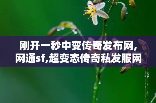 刚开一秒中变传奇发布网,网通sf,超变态传奇私发服网,网通sf