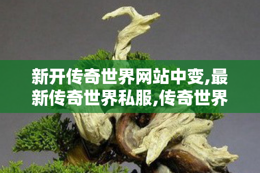 新开传奇世界网站中变,最新传奇世界私服,传奇世界开服网站,最新传奇世界私服