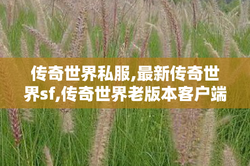 传奇世界私服,最新传奇世界sf,传奇世界老版本客户端下载,新开传世sf网站,传奇世界老版本客户端下载