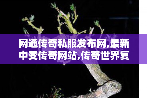 网通传奇私服发布网,最新中变传奇网站,传奇世界复古版本攻略,最新中变传奇网站