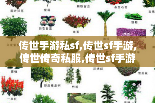 传世手游私sf,传世sf手游,传世传奇私服,传世sf手游