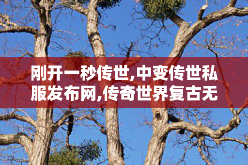 刚开一秒传世,中变传世私服发布网,传奇世界复古无元神,中变传世私服发布网