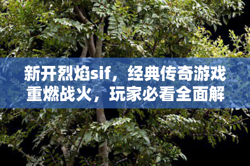 新开烈焰sif，经典传奇游戏重燃战火，玩家必看全面解析