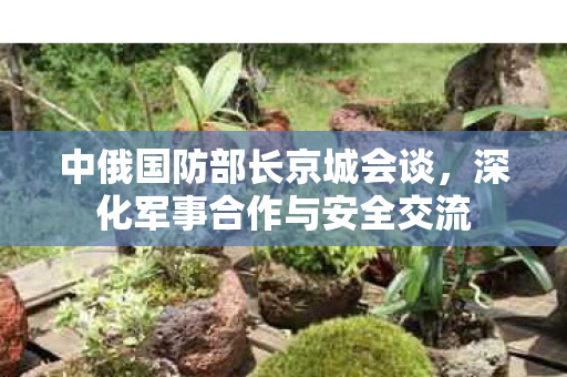 中俄国防部长京城会谈，深化军事合作与安全交流