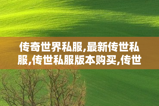 传奇世界私服,最新传世私服,传世私服版本购买,传世散人服,传世私服版本购买