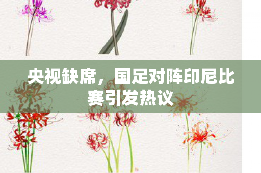 央视缺席，国足对阵印尼比赛引发热议